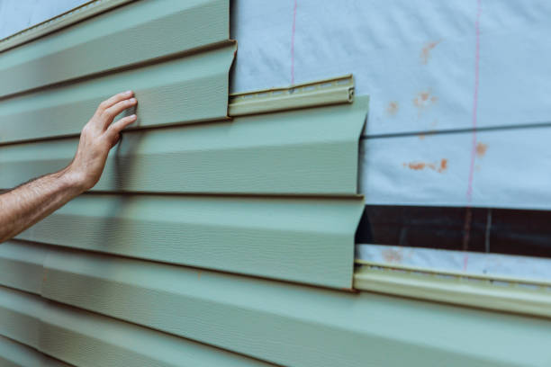 Best Aluminum Siding Installation  in Grant Park, IL